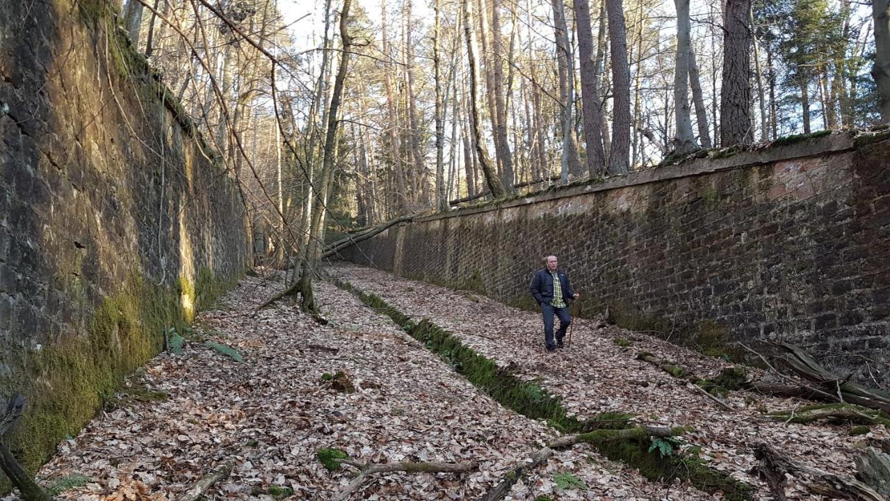 Chambre Avec Grand Lit Soultz-sous-Forets Esterno foto